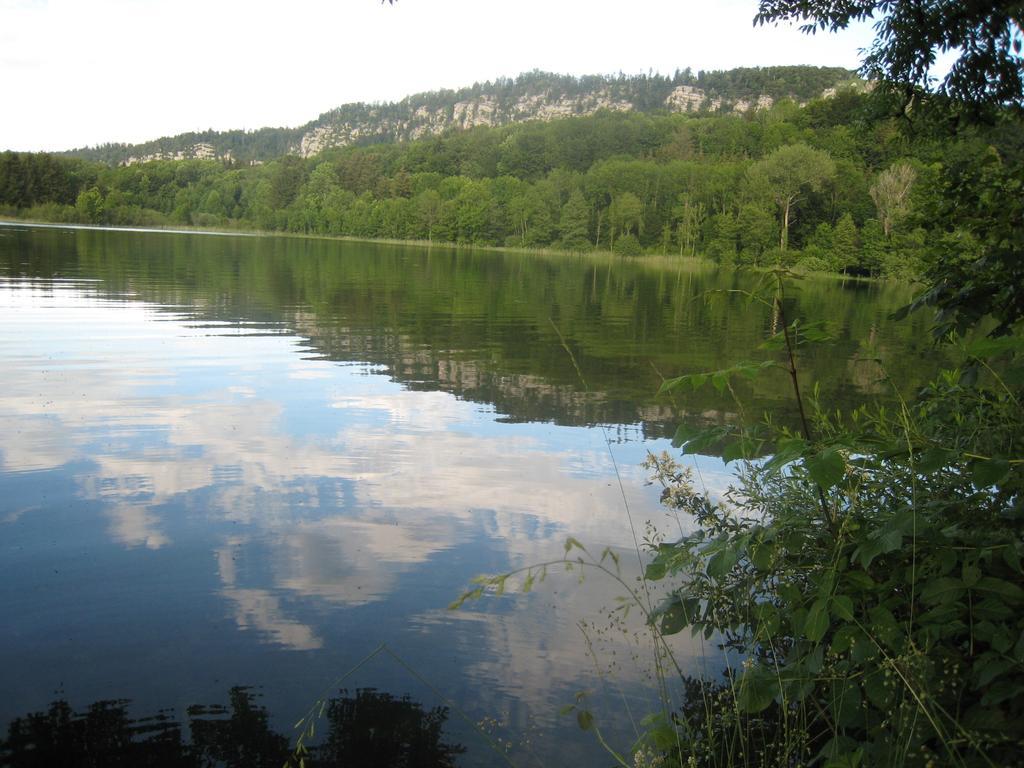 Auberge Du Herisson La Chaux-du-Dombief Eksteriør billede